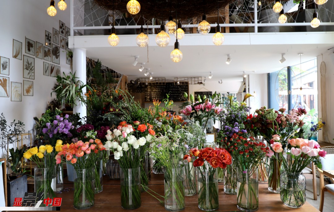 從決定從事鮮花這個行業(yè)以來，王黎媛花了很多的時間和精力去學(xué)習(xí)花藝，不斷提高自己的專業(yè)水平。而在小店的選址、裝修和布置方面，王黎媛同樣花費了不少心思，“希望我的小店和鮮花一樣，是有溫度的、鮮活的?！绷硗?，小小的花店也藏著大大的夢想，“我們云南鮮花很多，但真正做成品牌的卻很少，這是非?？上У?。我希望把我的店做成品牌，不光能扎根昆明，還能落地到云南的其他城市，甚至省外的城市?！眻D為王黎媛的花店一角。新華網(wǎng) 周亞平/攝 念新洪/文