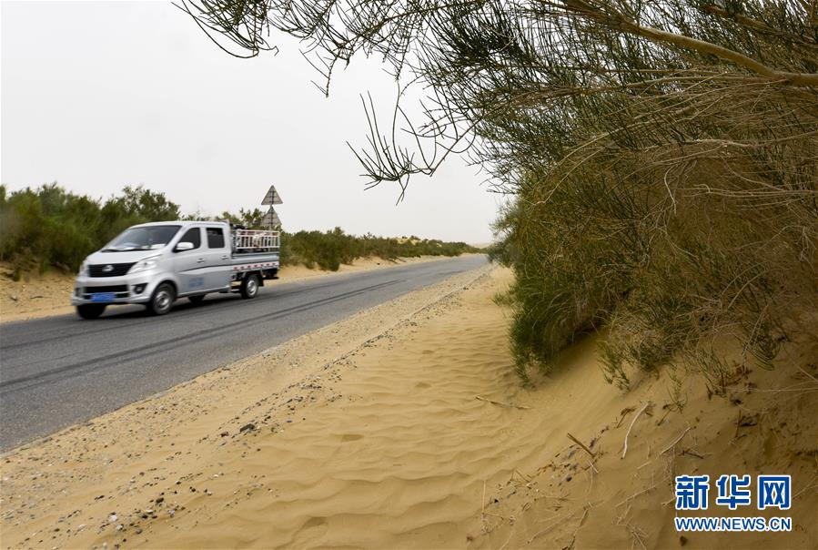 （壯闊東方潮奮進(jìn)新時代——慶祝改革開放40年）（3）公路在“死亡之海”里延伸