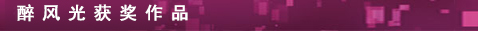 醉風(fēng)光獲獎(jiǎng)作品